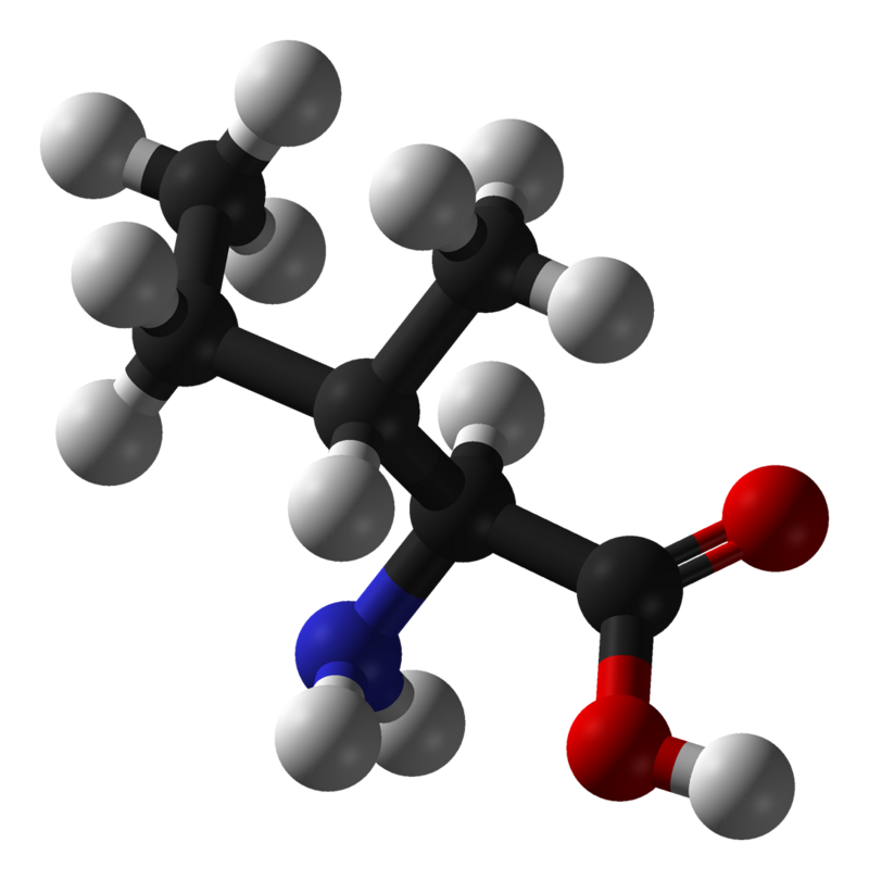  خرید آمینو اسید ال ایزولوسین Isoleucine 