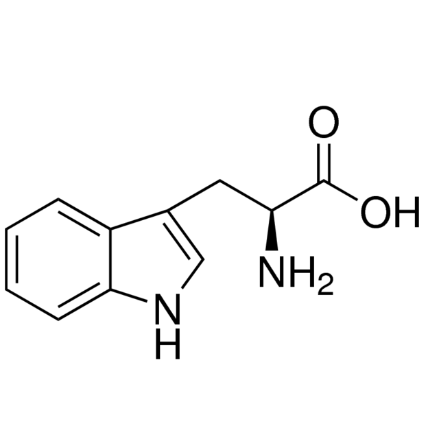  پودر ال تریپتوفان ( L-Tryptophan )