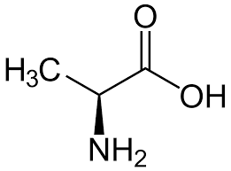  پودر L-Alanine (ال-آلانین) 25 کیلویی