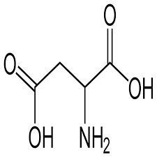  پودر ال آسپارتیک اسید ( L-Aspartic Acid )